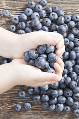 Image showing Blueberries hands boy