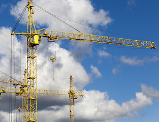 Image showing Top of construction cranes