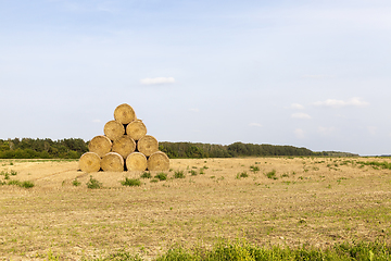 Image showing field pyramid straw