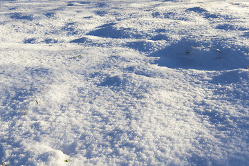 Image showing After snowfall