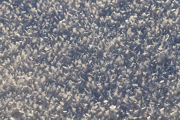 Image showing Snow crystals winter