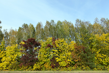 Image showing autumn landscape, park