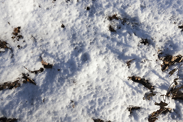 Image showing Snow drifts in winter