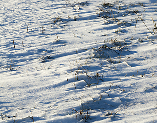 Image showing Snow-covered surface