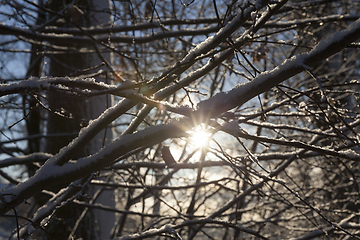 Image showing Winter time, photo