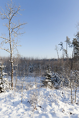 Image showing Winter time