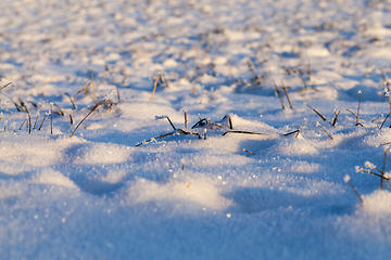 Image showing Snow drifts in winter