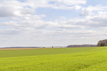 Image showing rural landscape at spring time