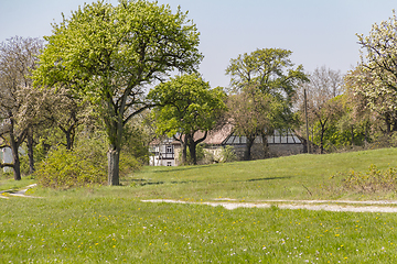 Image showing farmstead at spring time