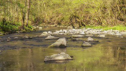 Image showing waterside scenery at spring time