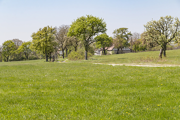 Image showing farmstead at spring time