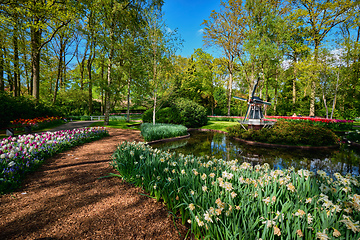 Image showing Keukenhof flower garden. Lisse, the Netherlands.