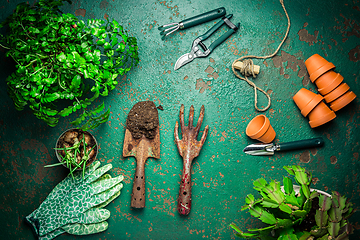 Image showing Spring gardening concept - gardening tools with plants, flowerpots and soil