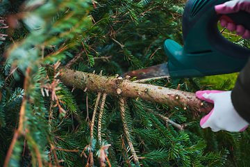 Image showing Gardening  work in autumn and winter. Teenager is sawing old Christmas tree with electric saw and cutting branches 