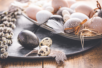 Image showing Easter eggs with pussy-willow branch on wooden kitchen table