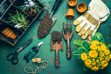 Image showing Spring gardening concept - gardening tools with plants, flowerpots and soil