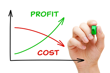 Image showing Low Cost High Profit Business Graph Concept