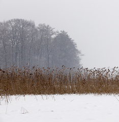 Image showing Snow drifts in winter