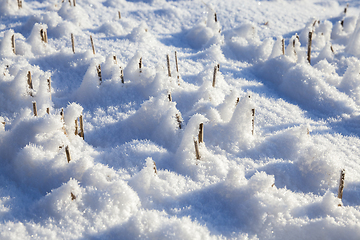 Image showing Snow drifts in winter