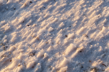 Image showing After snowfall