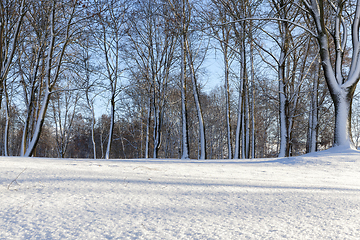 Image showing Winter season. Photo
