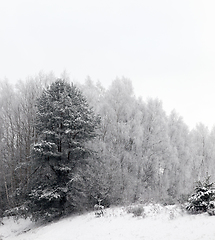 Image showing Snow drifts in winter