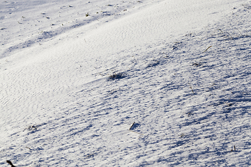 Image showing After snowfall