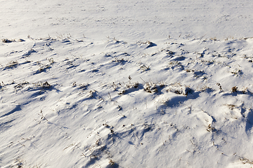 Image showing land covered with snow, close-up