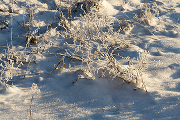 Image showing Snow drifts in winter