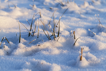 Image showing Snow drifts in winter