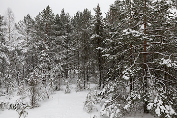 Image showing Snow drifts in winter