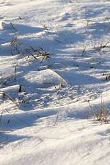 Image showing Snowy surface, winter