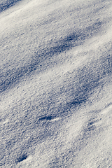 Image showing ound under snow