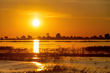 Image showing African sunset on Chobe river, Botswana