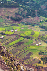 Image showing agriculture countryside terraced fields in Ethiopia