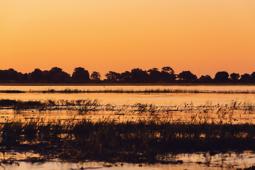 Image showing African sunset on Chobe river, Botswana