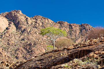 Image showing Brandberg mountain landscape, Namibia