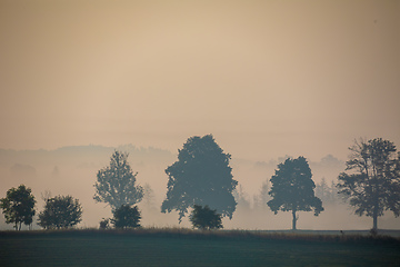 Image showing Autumn foggy and misty sunrise landscape