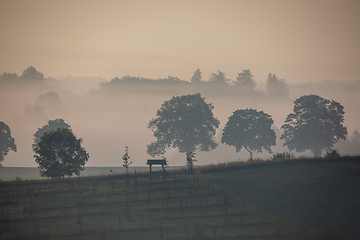 Image showing Autumn foggy and misty sunrise landscape