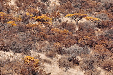 Image showing landscape Pilanesberg National Park, South Africa