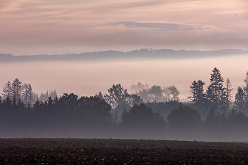 Image showing Autumn foggy and misty sunrise landscape