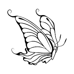 Image showing Sketch of Butterfly