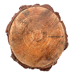 Image showing Wood log slice