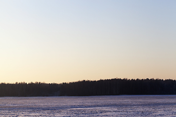 Image showing Winter landscape in the field