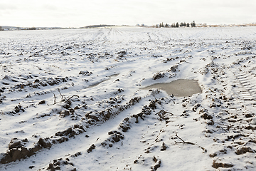 Image showing land covered with snow, close-up