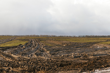 Image showing Car tracks in the field