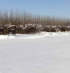 Image showing After snowfall