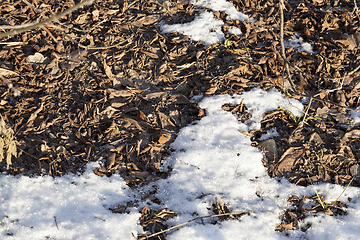 Image showing Winter time of the year, photo