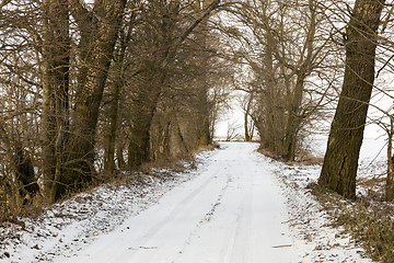 Image showing Footprints in the snow