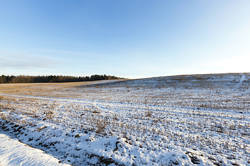 Image showing field covered with snow